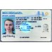 Michigan Fake ID